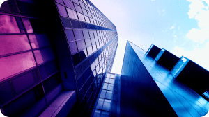 التحول الرقمي